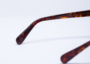 Collection Capsule EDITION 1 - Deep Tortoise / Hydra